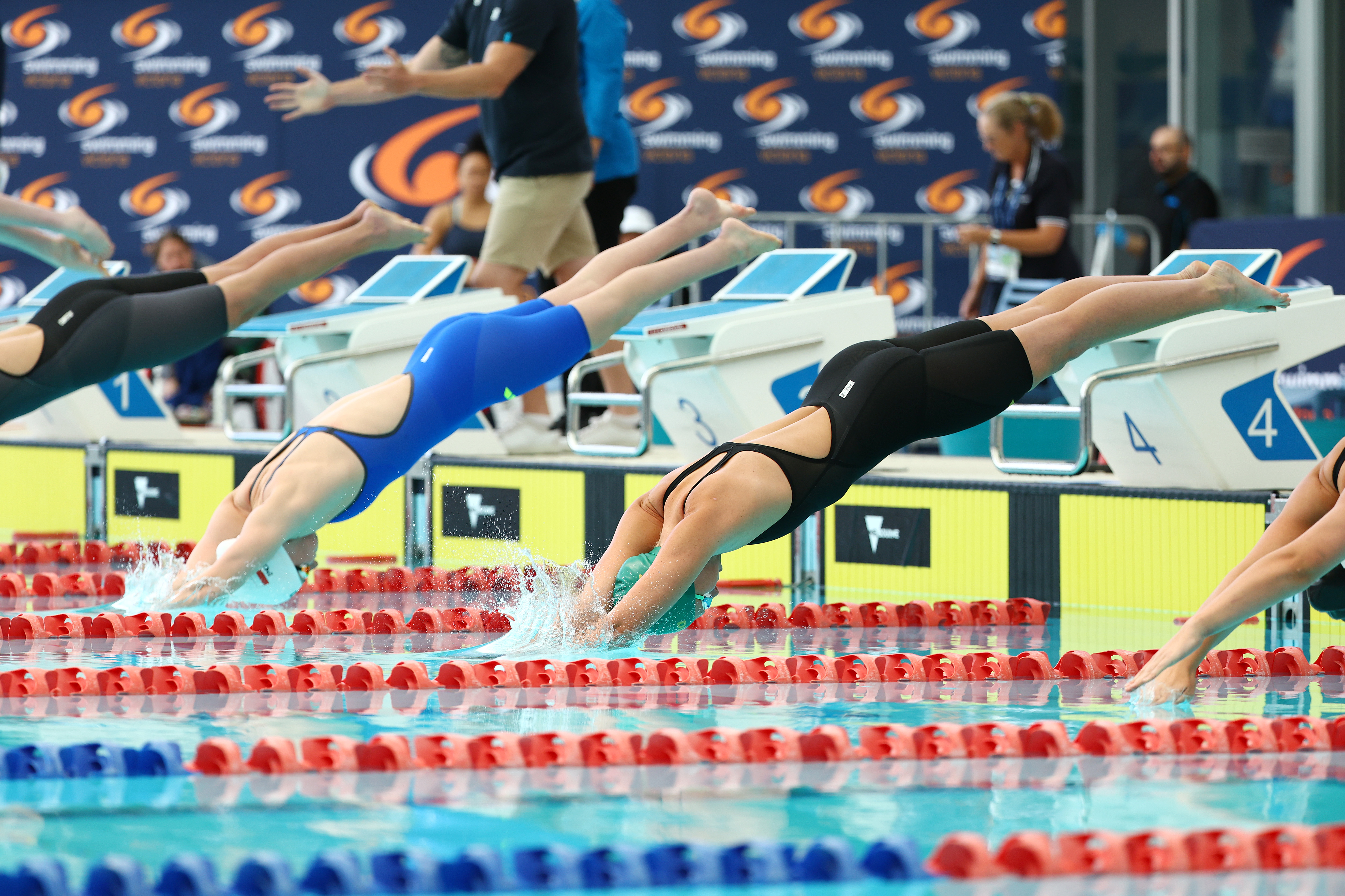 Swimmers diving in at the start of race