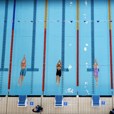 Swimmers diving in at the start of race