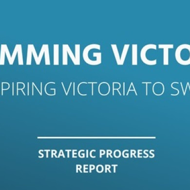 SV Strategy Progress Update